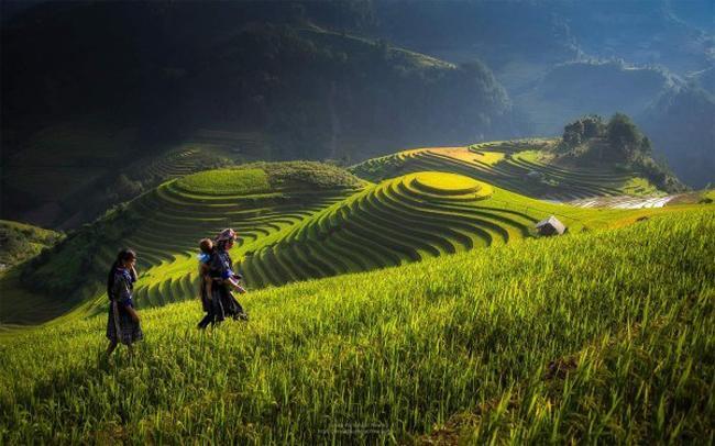 Discovery Hotel Sapa Dış mekan fotoğraf