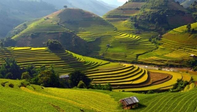 Discovery Hotel Sapa Dış mekan fotoğraf